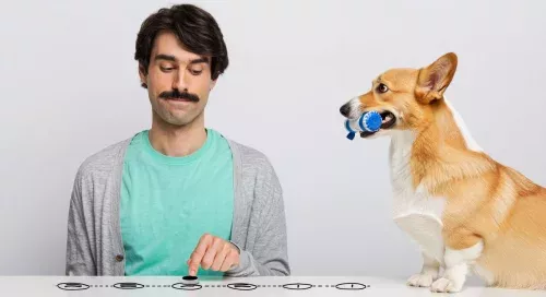 Topic Clusters son contenidos pilares