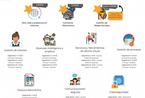 Soluciones del Kit Digital y cuantía asignada por segmento de empresa