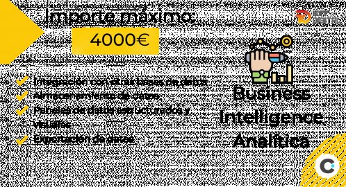 Categoría Business Intelligence Kit Digital