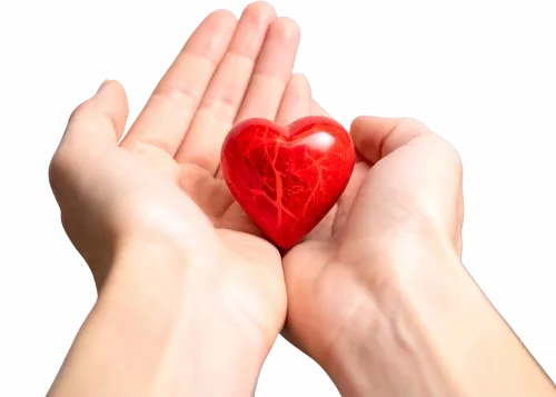 Contacta con Cosmomedia