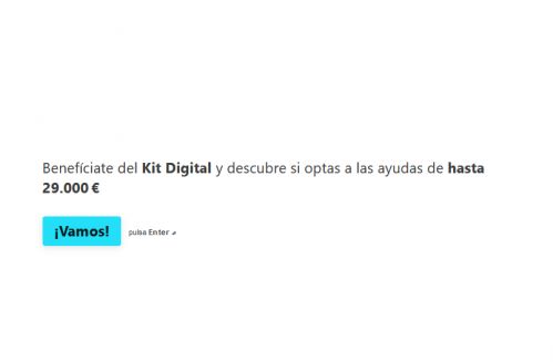 Encuesta Kit Digital