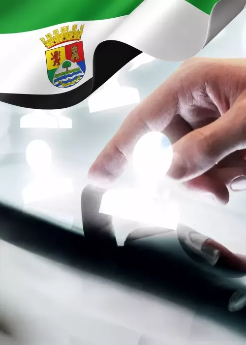 Rellena los datos para tramitar tu subvención digital