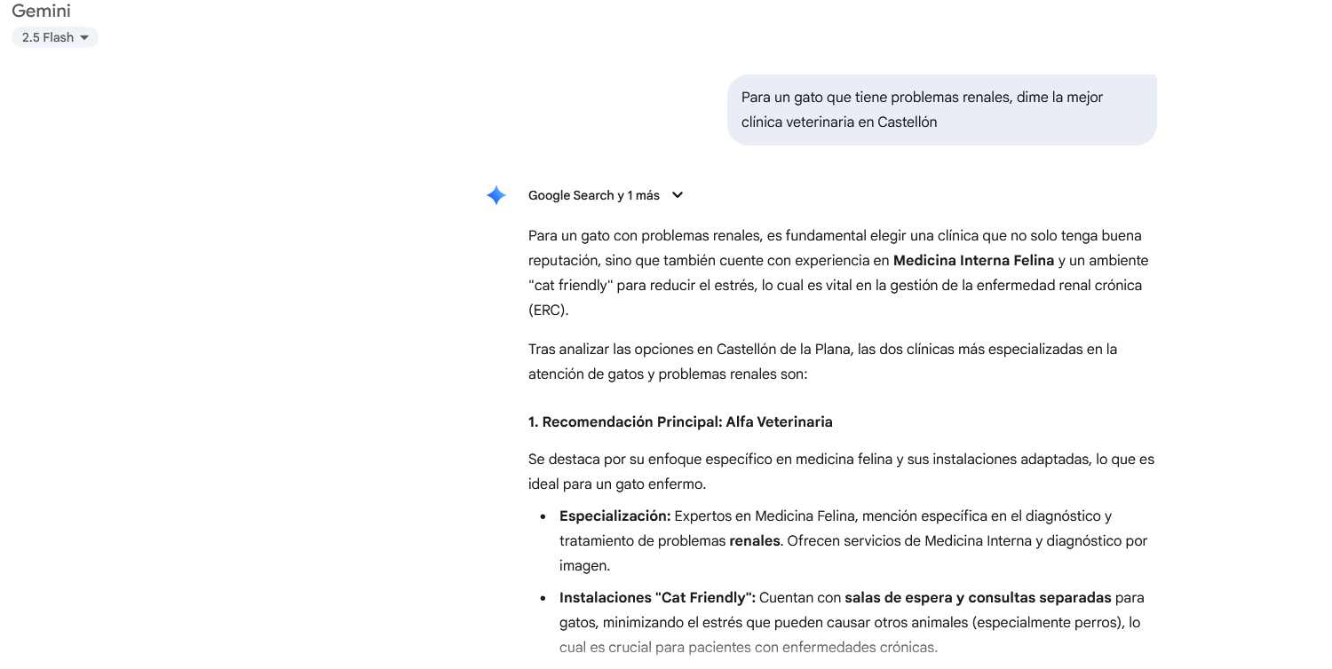Ejemplo Cómo una empresa se posiciona en Gemini
