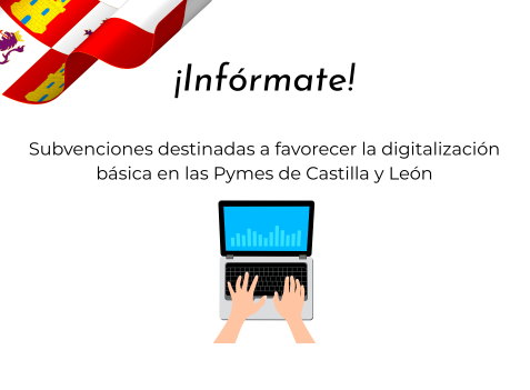 Ayudas digitales para pymes de Castilla y León