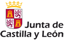 Junta de Castilla y León ayudas digitales