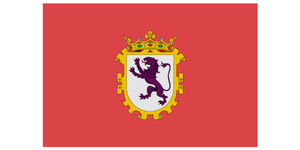 Bandera León   Ayudas digitales para empresas