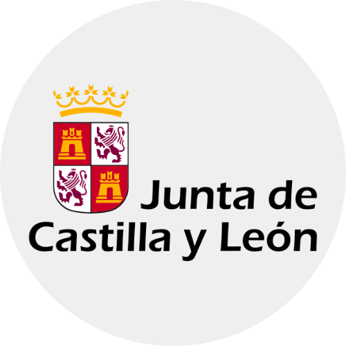 Ayudas a la digitalización básica de la Junta de Castilla y León