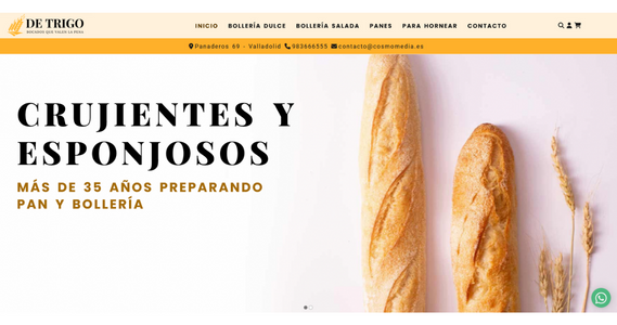 Página web para sector alimentación