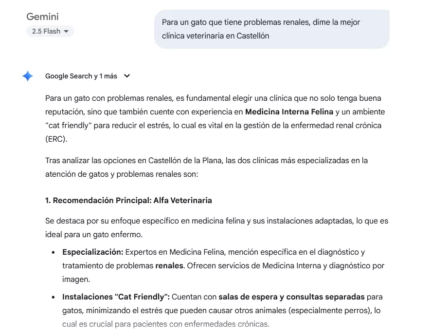 Ejemplo C&oacute;mo una empresa se posiciona en Gemini