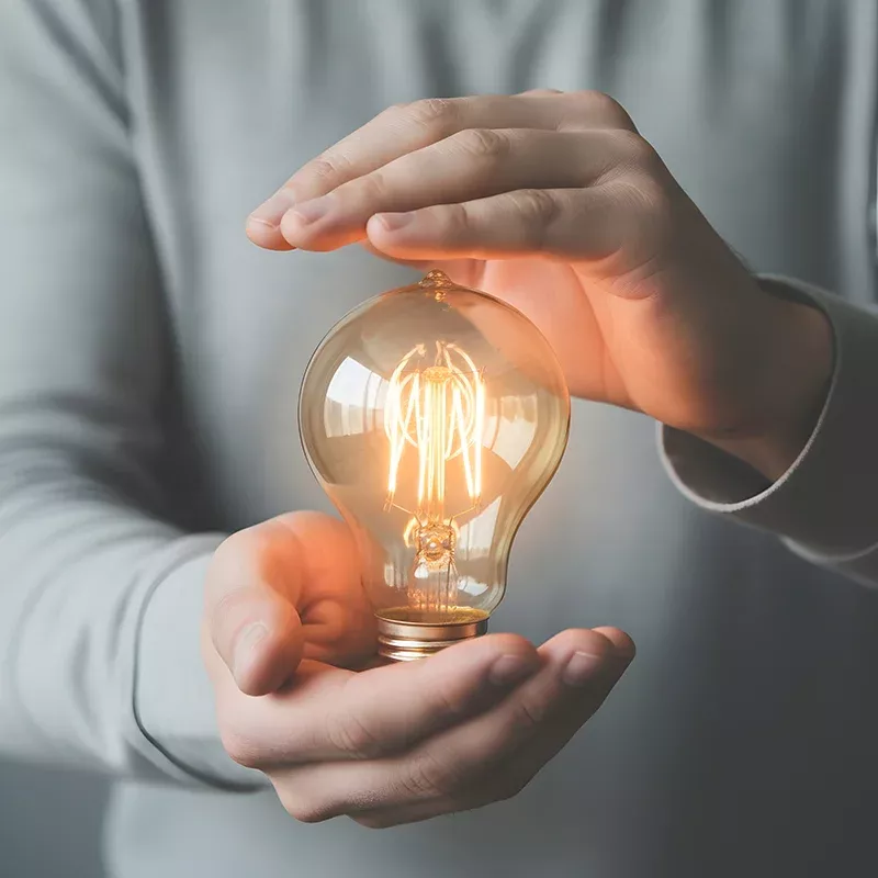 newsletter emprendimiento